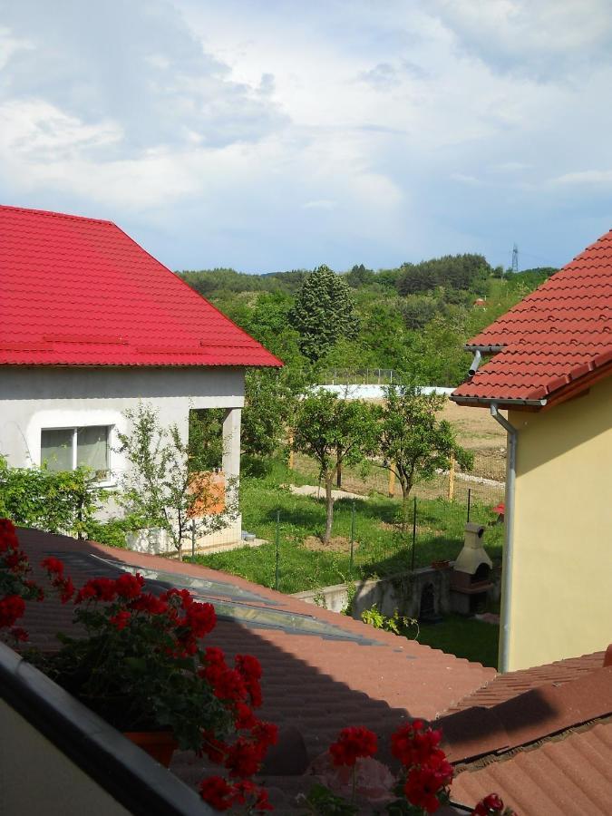 Hôtel Casa Domneasca à Curtea de Argeş Chambre photo